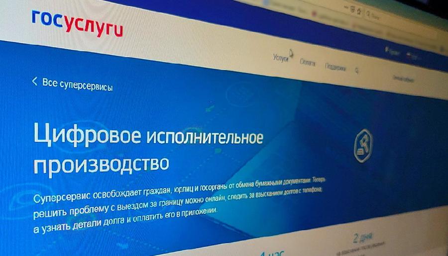 Главный судебный пристав Алтайского края  рассказал  о работе суперсервиса на портале Госуслуг