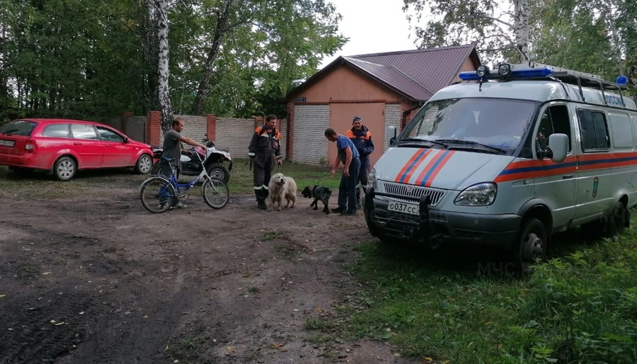 Поход в лес без происшествий