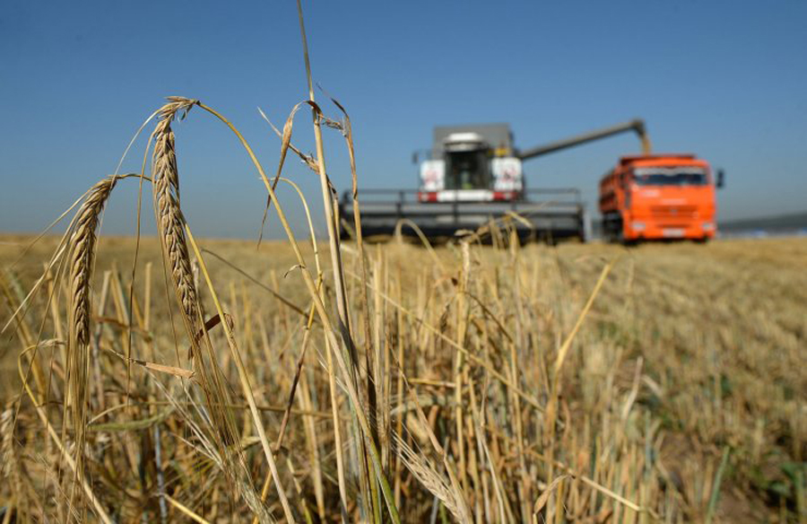 10 млрд не предел: Россельхозбанк на Алтае выдал рекордную сумму на АПК