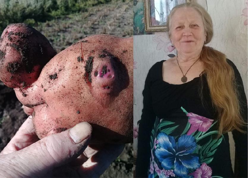 Чудо-природы вырастила Валентина Шваб из Ясной Поляны