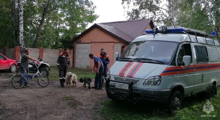 В лес без происшествий: советы спасателей