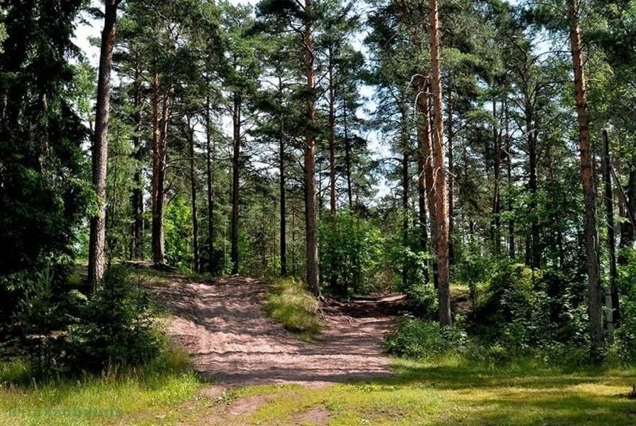В лесничества Алтайского края продолжает поступать техника