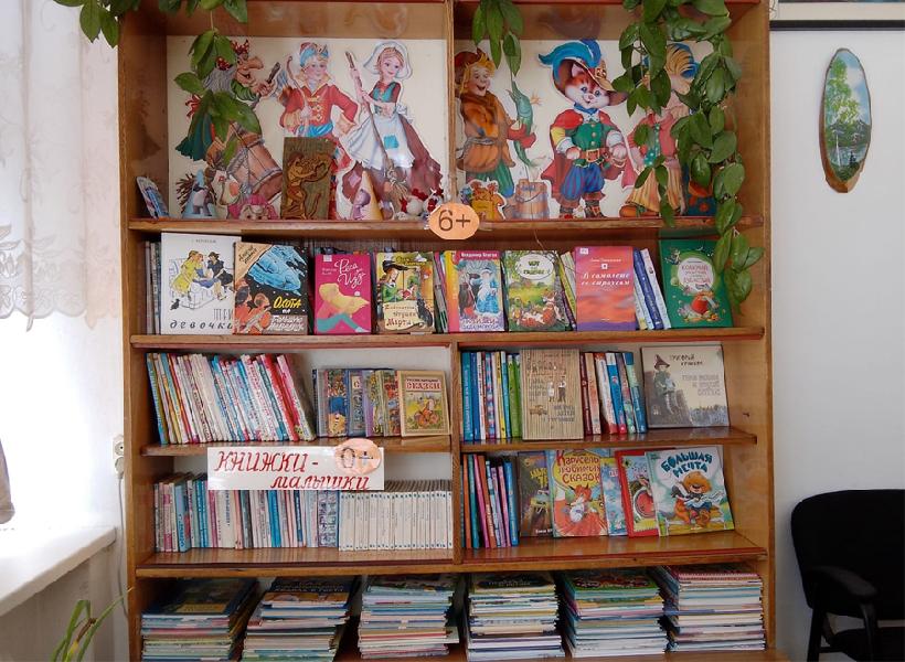 Книжные фонды библиотек Хабарского района будут укомплектованы на 2023 год