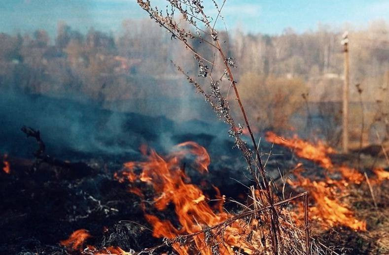 Прежде чем поджигать сухую траву, подумайте о последствиях!