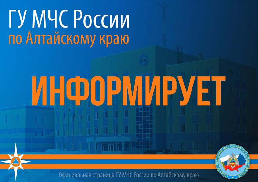 По данным синоптиков, в Алтайском крае днем 11 апреля ожидается ветреная погода