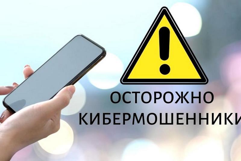 VK расскажет школьникам о правилах защиты старшего поколения от кибермошенников