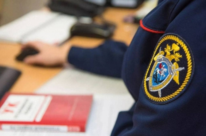 Следственными органами СК России по Алтайскому краю возбуждено уголовное дело по факту утопления несовершеннолетних девочек в Целинном районе